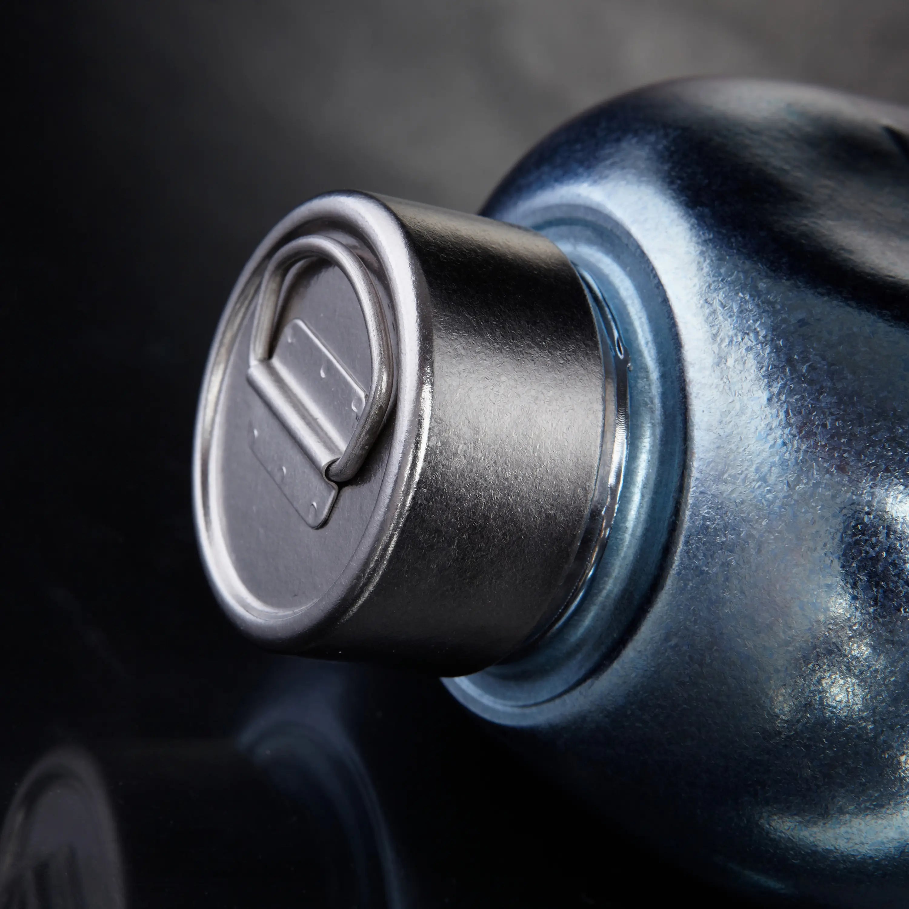Pure Titanium Canteen