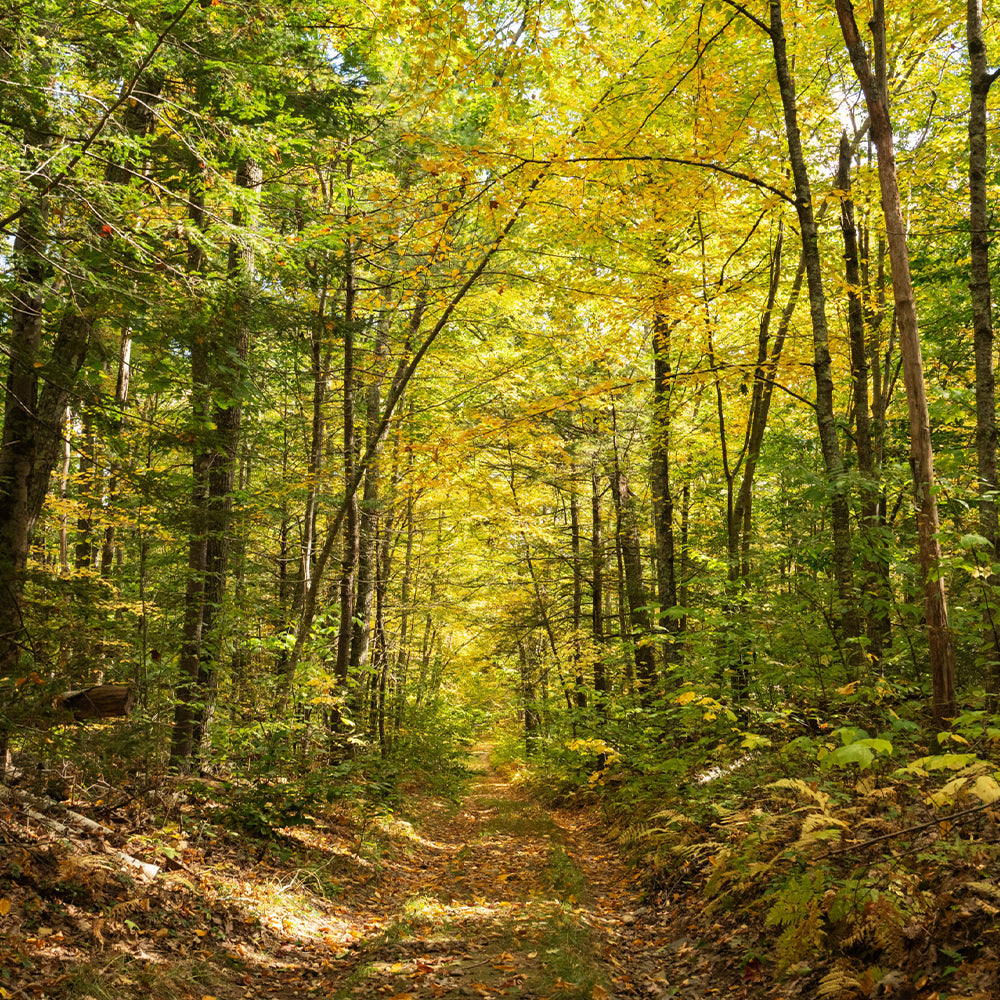 5 Best Hikes Near Austin to Explore with Your TAIC Titanium Gear